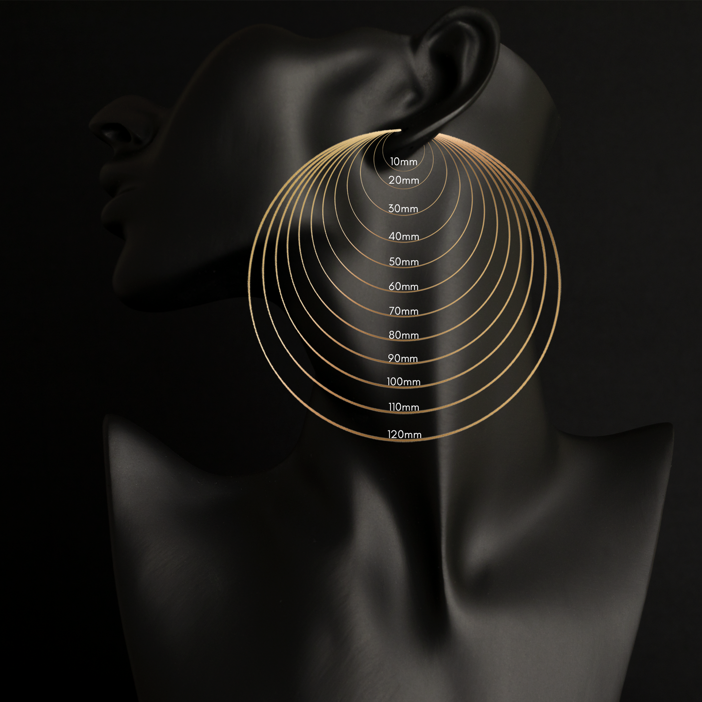 THE HOOP LINE EARRINGS